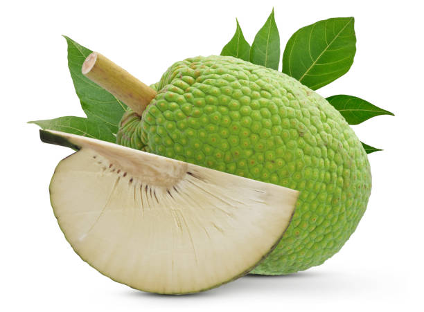 buah sukun