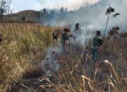 Api Berkobar di Ijen! TNI dan Perhutani Bergerak Cepat Jinakkan Kebakaran di Petak 87