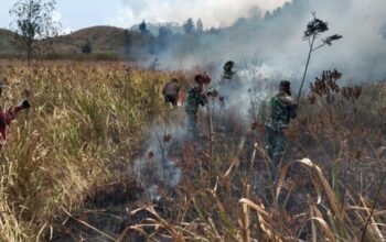 Api Berkobar di Ijen! TNI dan Perhutani Bergerak Cepat Jinakkan Kebakaran di Petak 87
