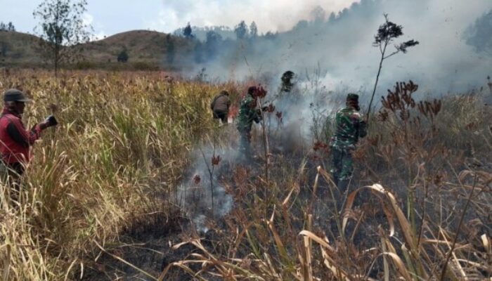 Api Berkobar di Ijen! TNI dan Perhutani Bergerak Cepat Jinakkan Kebakaran di Petak 87