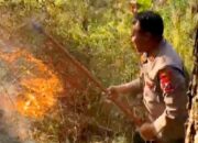 Polres Magetan Bersama Tim Gabungan Tangani Karhutla di Panekan Lereng Gunung Lawu